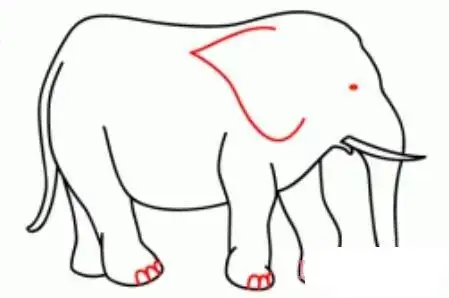分步骤画大象简笔画 大象的画法图片教程