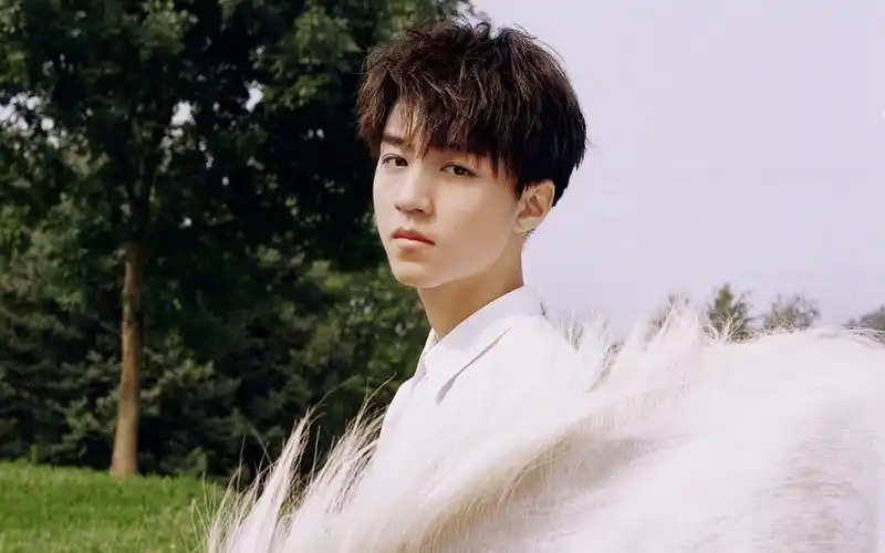 tfboys,明星壁纸,帅哥,tfboys,王俊凯,明星,帅哥文艺帅气偶像王俊凯