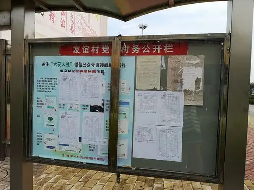 舒城县万佛湖镇友谊村政务公开公告栏