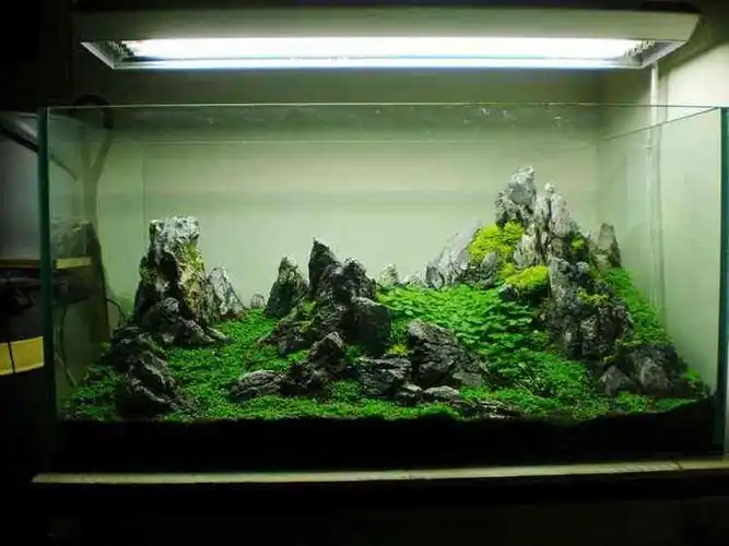 90cm青龙石草缸群山造景图片欣赏