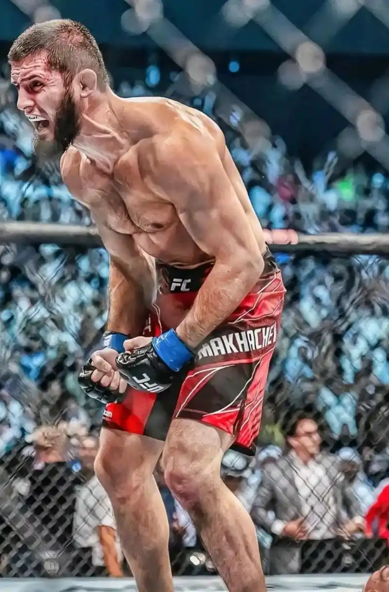 0超级赛亚人.#ufc #马哈切夫降服奥利维拉 #综合格