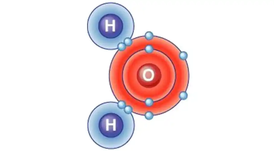 2.  类分子结构单元