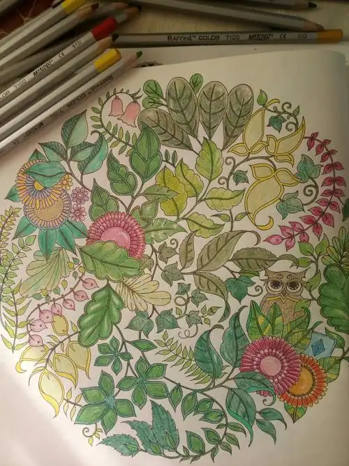 我的魔法森林涂色