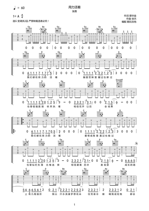 张茜用力活着吉他谱