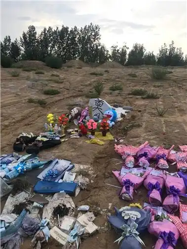 美丽纯洁的天使---李明珠