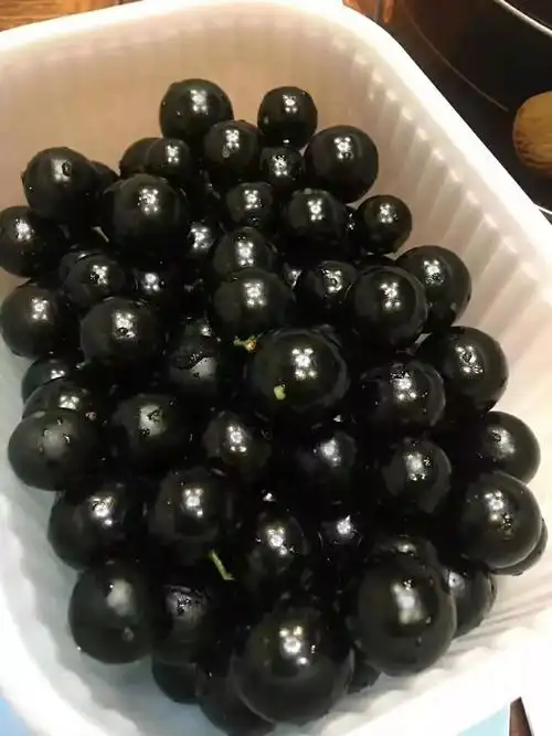 谁家种有这种"土豪"水果?要发财了!