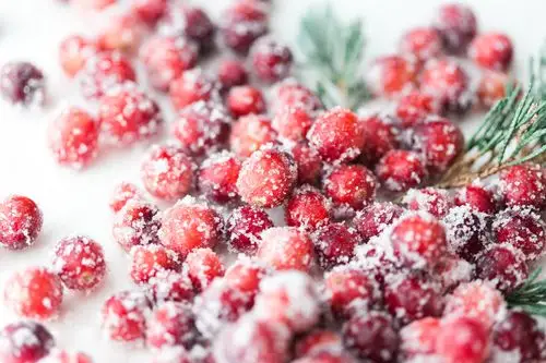 how to make sparkling sugared cranberries for the holidays that