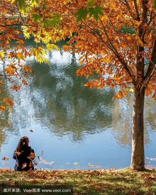 秋天里,一个女人坐在河边的橘黄色树下