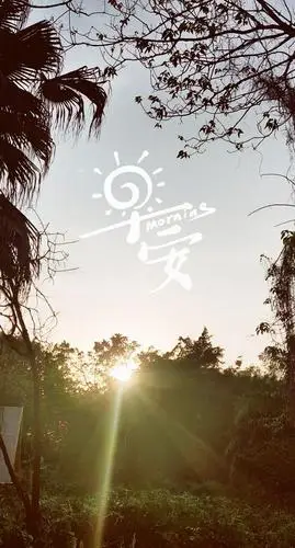 早安,清晨太阳1125x2436分辨率查看