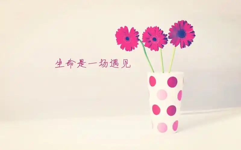 富有正能量的励志说说配图