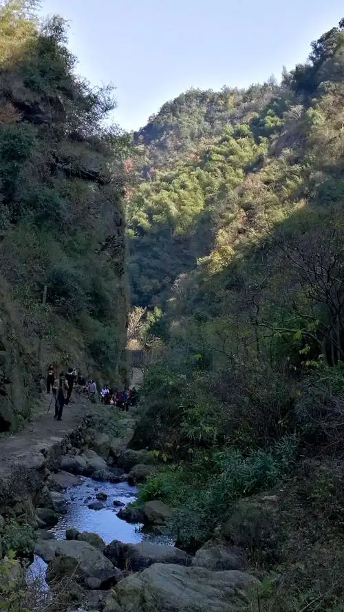 秋风送爽登山小分队,穿越绍兴稽东雪窦岭.观赏金色水杉林.