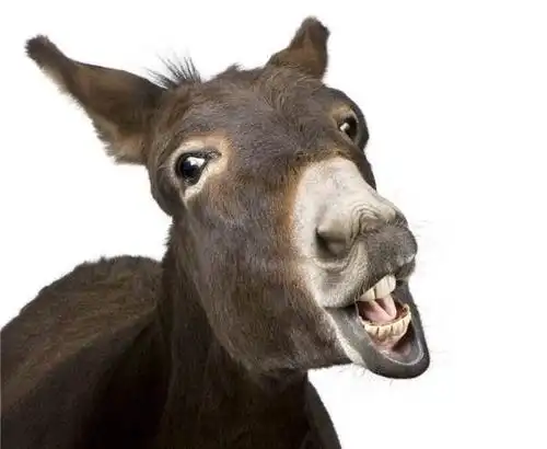 魏晋时期社会名流的特殊癖好——学驴叫,启功:因为符合音律