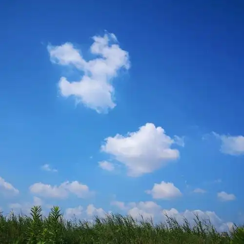 蓝蓝的天空白云飘