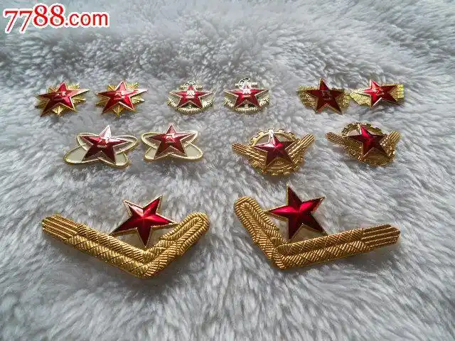 【】退役87系列领花6付