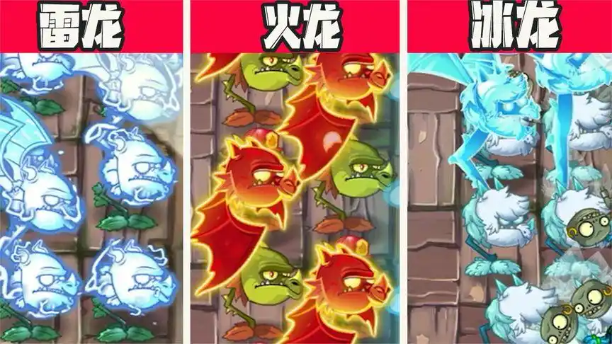 植物大战僵尸:火龙草冰龙草雷龙草争夺龙宫皇位?太刺激了!
