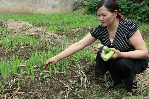 新时代的农村女性