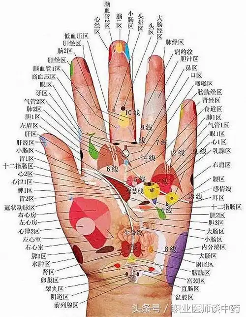 手掌全息图史上最全你值得拥有