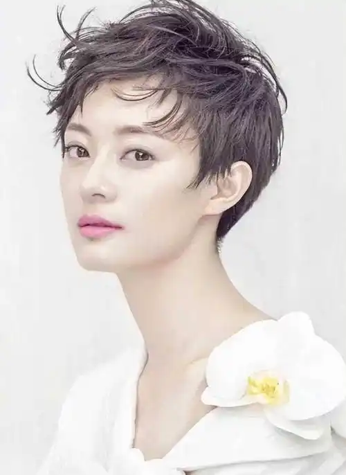 总的来说,短发不仅仅是一种发型,更是这这些女明星们用短发诠释了多样