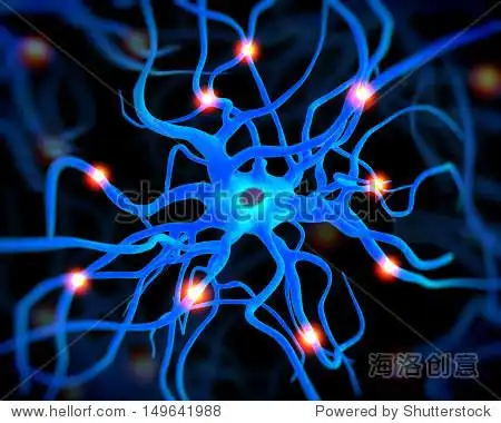active nerve cell or neurons