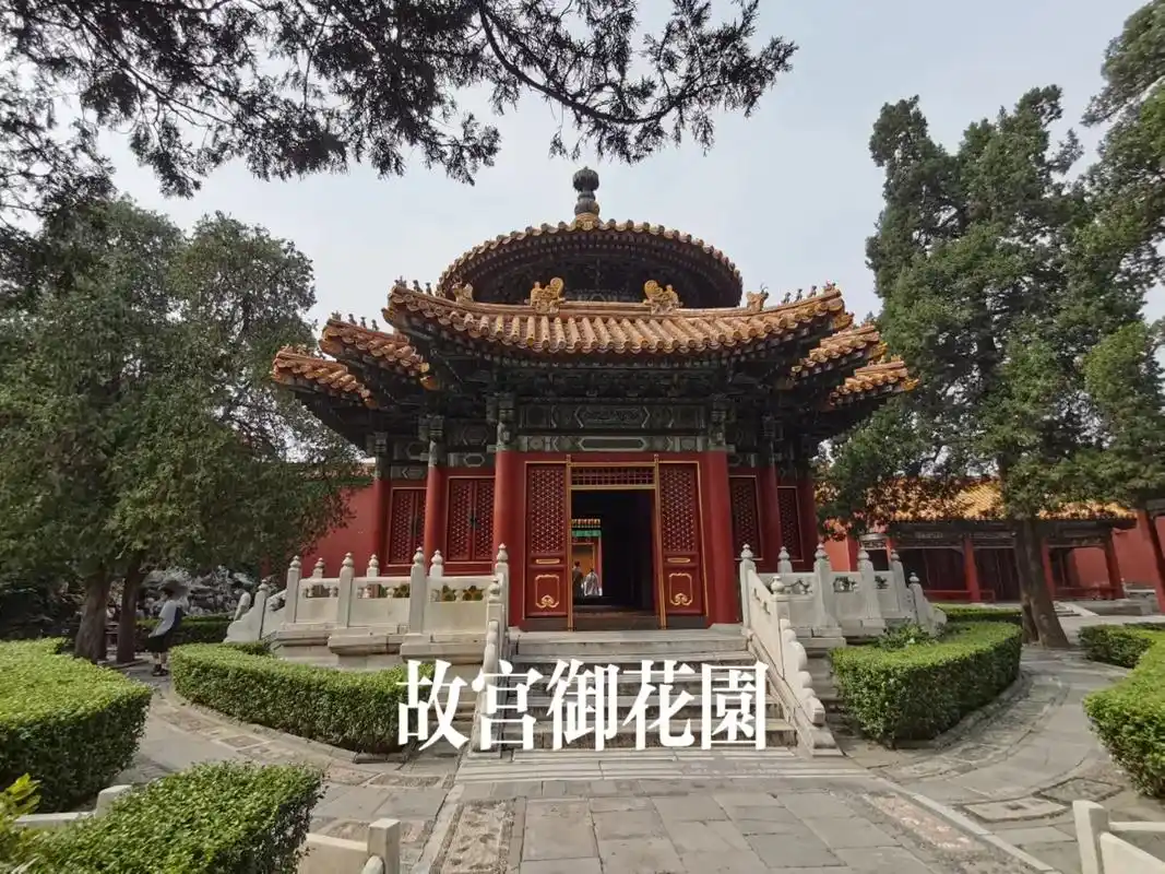 热门 #故宫 #故宫御花园 #御花园 #紫禁城御花园 - 抖音
