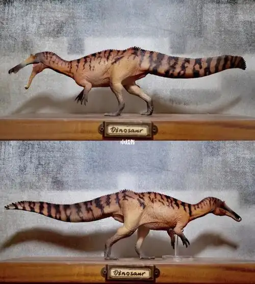 pnso中国上龙似鳄龙