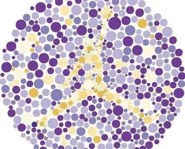 5张色盲测试图第三关都过不了的劝你停下学车的手别害人