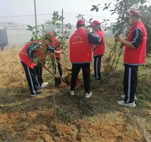 新县中小学生开展植树活动