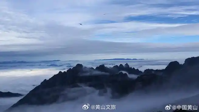 四季黄山 相约夏天##皖美夏日#雨后黄山,云雾嬉戏山间,宛如精灵在