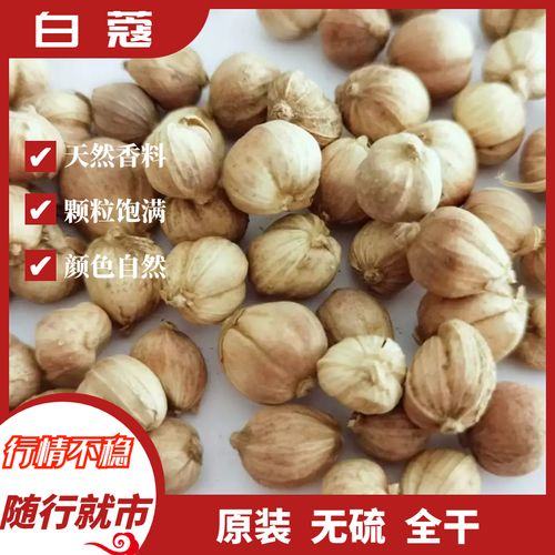 500g精选白蔻 白扣 白豆蔻无硫原装全干香料火锅烧肉卤料调味料