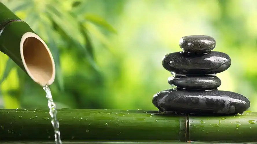 竹子,四季常青,流水,石头,绿色画面,桌面壁纸高清大图预览1920x1080