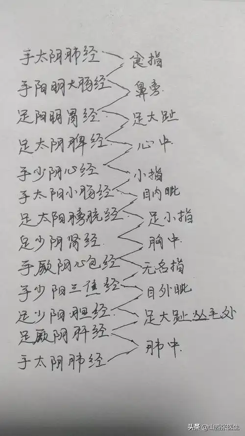 十二经脉的循行顺序及交接部位