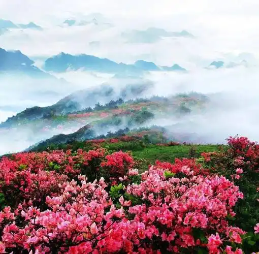 五一赏花季领略六春湖感受浙江第一高索