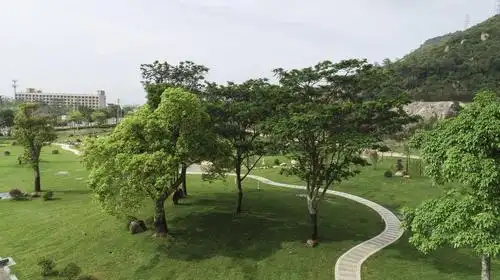 超大绿地景观湖面多彩植物珠海新添一个免费休闲好去处就在这里