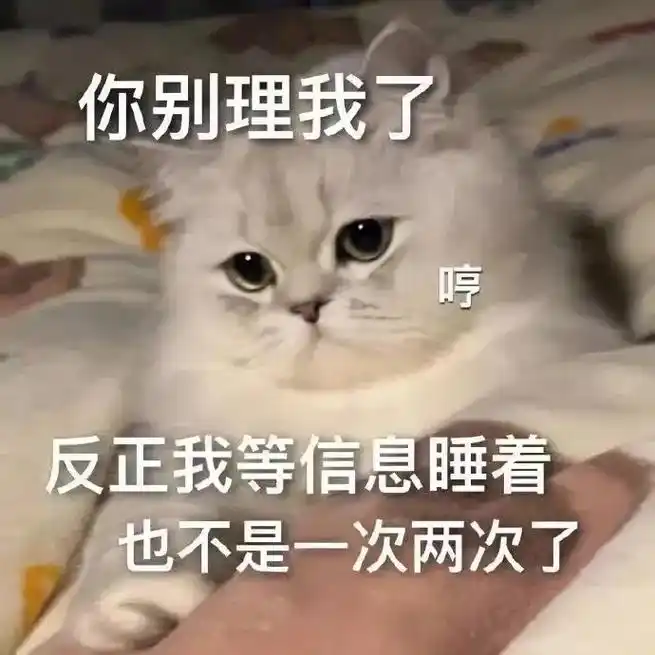 可爱的小猫生气表情包 快来保存吧#猫咪表情包 - 抖音