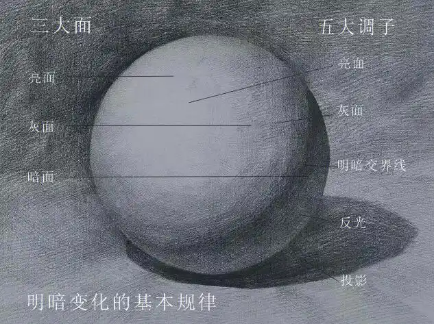 素描中的三大面五调子你知道吗