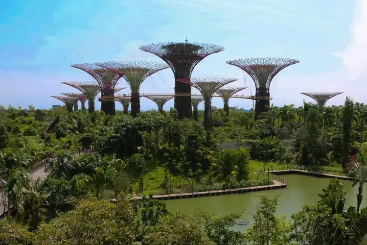 夜色下的城市森林——新加坡