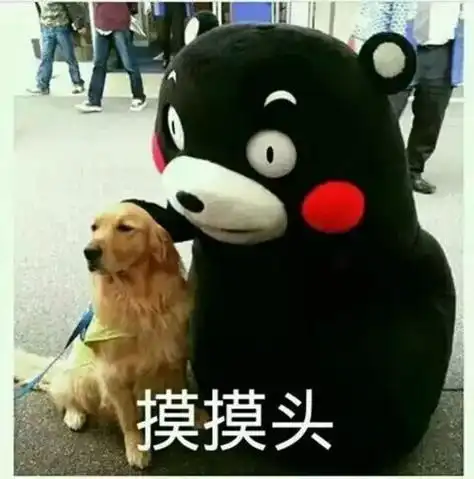 摸摸头表情包狗头 - 搜狗图片搜索