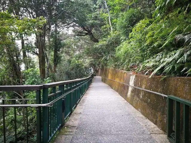 日月潭涵碧步道攻略,日月潭涵碧步道门票/游玩攻略/地址/图片/门票