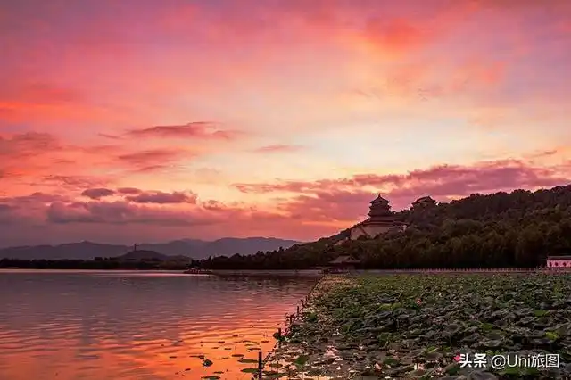 春天的图片景色真图春天的照片景色大全