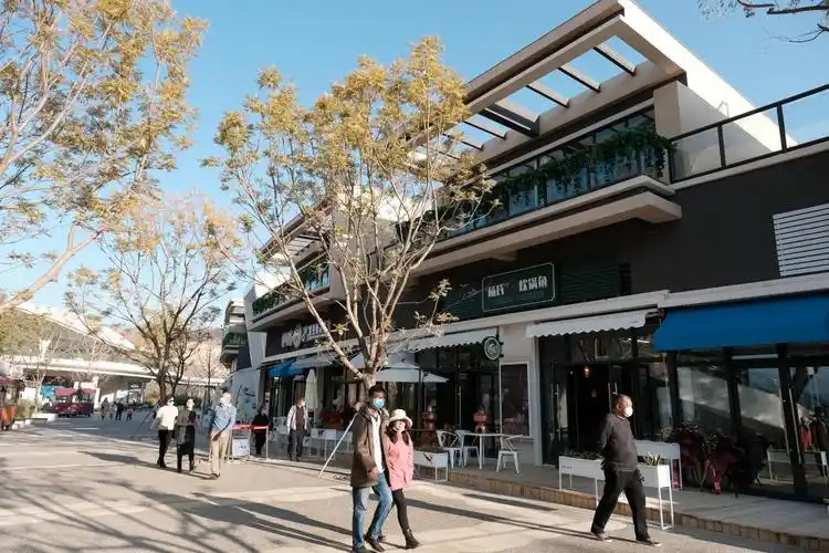 星空小镇仙湖里·商业街实景图