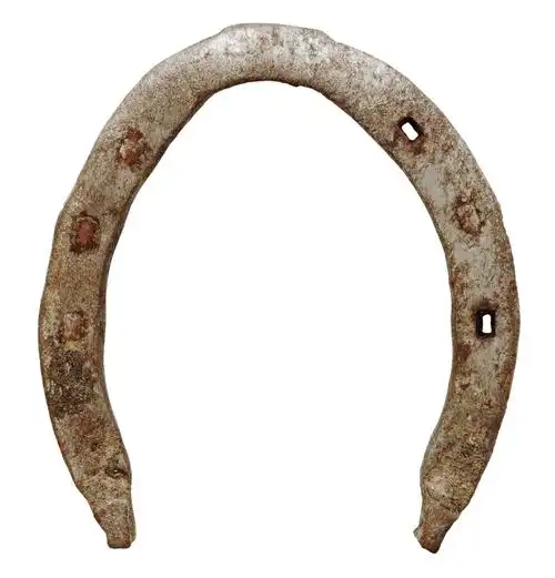 老,马掌,隔绝,白色背景,背景