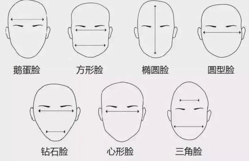 应该属于鹅蛋脸型.