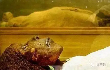 4500年前的癌症患者遗骸