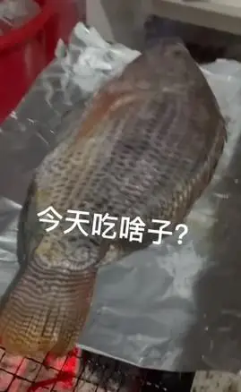 名为【无名y】的博主的一则搞笑视频,因为这名博主每天只能吃到罗非鱼