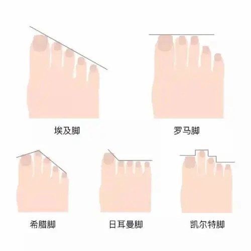 你是哪种脚型? - 简书