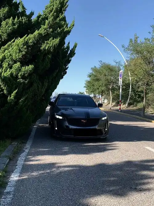 你们的凯迪拉克什么颜色