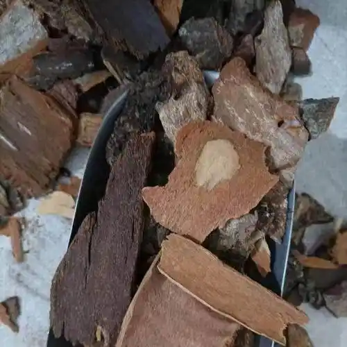 中药材批发追地风追地风的功效