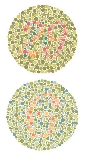 如果这页不过关,或者会选择另外一个版本的色盲图谱,检查图谱,来继续