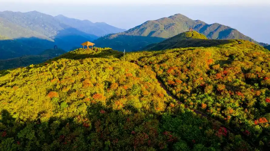 《大围山风光》