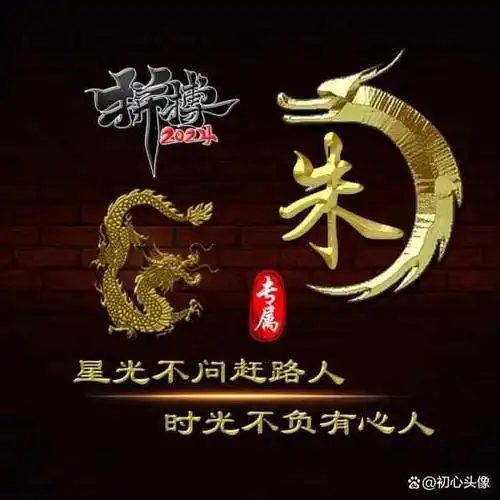 拼搏2024姓氏头像,十二生肖金色立体字